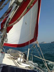 1488329_611759835525758_153356009_n