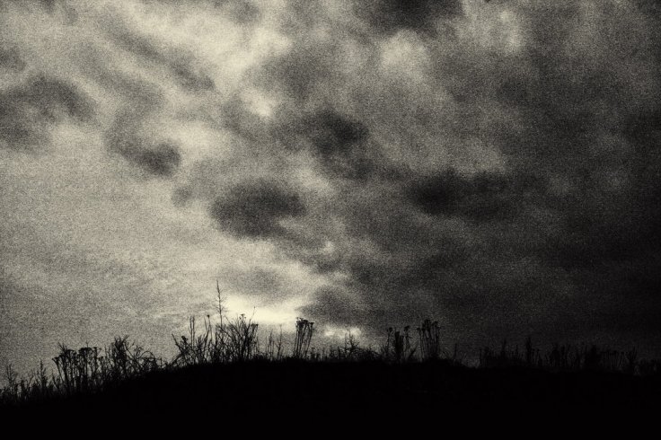 ec1f6f0e910f97315fb50d93d1186e8f-d51ibug