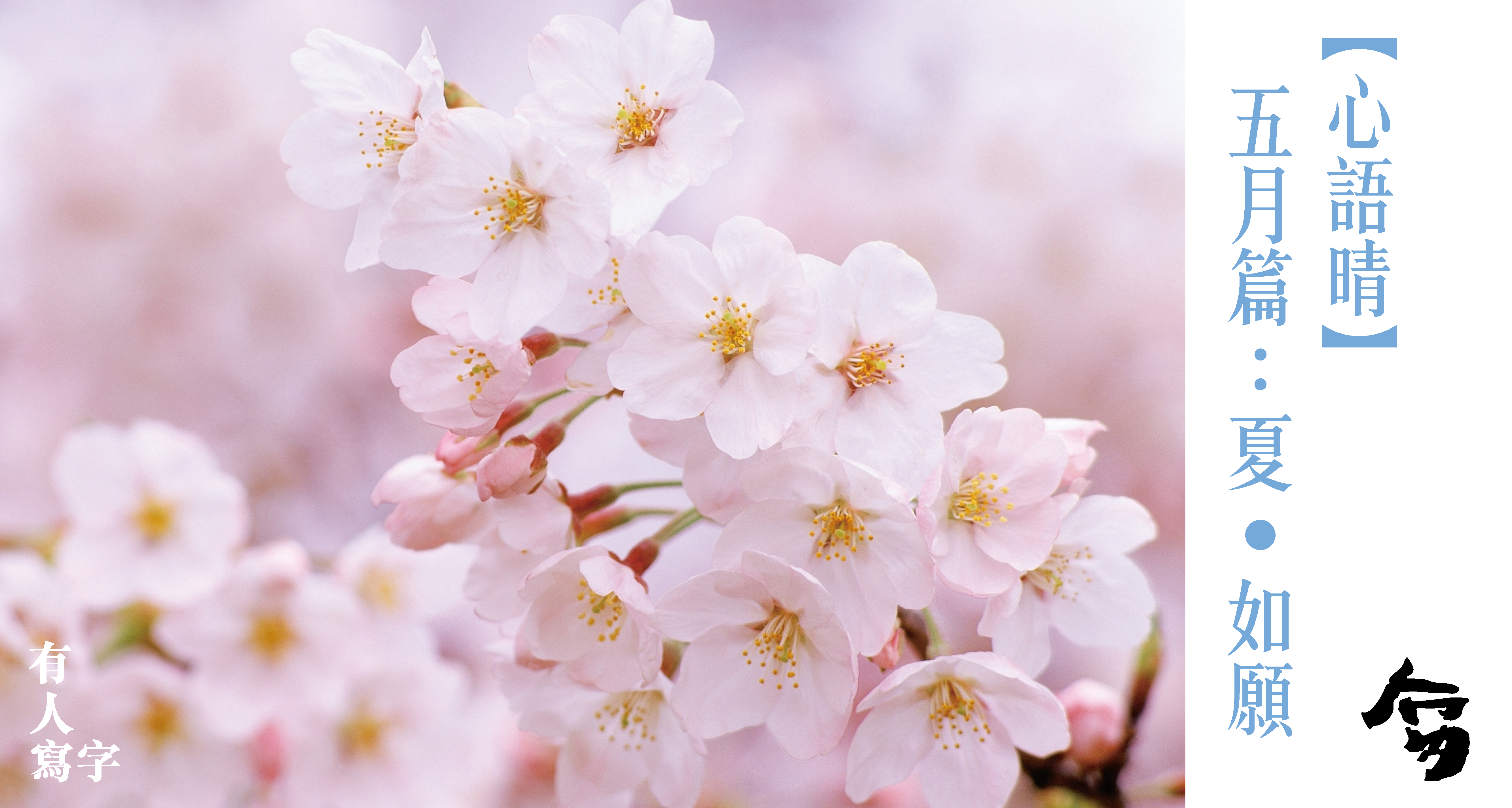 五月如願-78.png