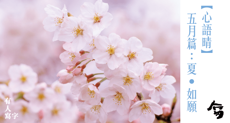 五月如願-78.png